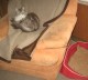 Thumbs/tn_Bild 015.jpg